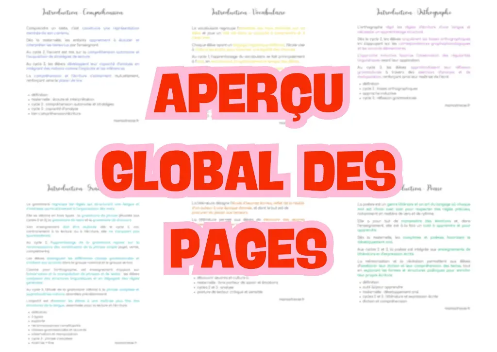 Introductions oraux français crpe 2.webp